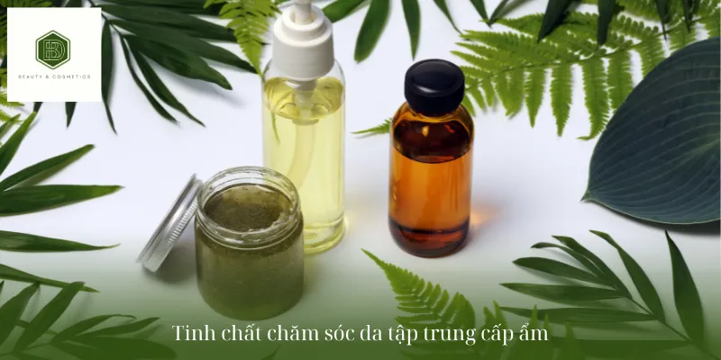 Tinh chất chăm sóc da tập trung cấp ẩm